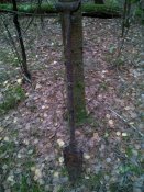 IMG_20151005_150833.jpg
