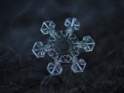 1352689-401799-0.jpg