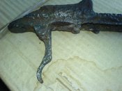 DSC02704.JPG