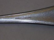 DSCI5365.JPG