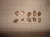 DSC02705.jpg