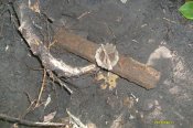 S6302612.jpg