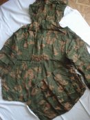 DSC08393.JPG
