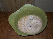 100_1206.jpg