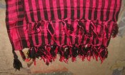 DSC02686.JPG