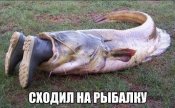 2397166431.jpg
