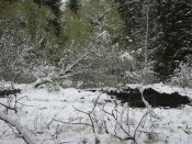IMG_4763.JPG