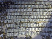 Кулеметна стрічка Шварцлозе