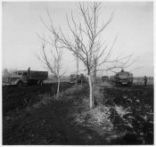 4_Autocolonna militare in marcia in Russia nell'autunno 1941.jpg