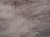 DSC01309.JPG
