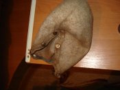 DSC09569.JPG