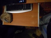 DSCN0253.JPG