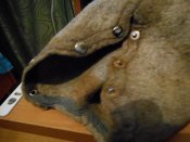 DSCN0257.JPG