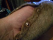 DSCN0258.JPG