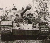 Ferdinand_12.jpg