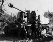 MarderII_131_22.jpg