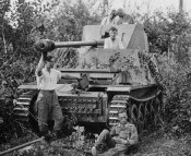 MarderII132_23.jpg