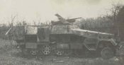 SdKfz251-10-NW.jpg
