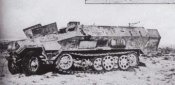 SdKfz251-10_04.jpg