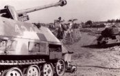 SdKfz251-22_02.jpg