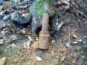 2009-11-21-016.jpg