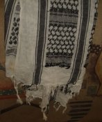 DSC02770.JPG