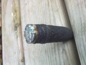 16092010467.jpg