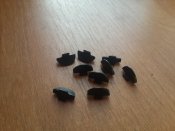 20150916_163109.jpg
