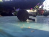 IMG091.jpg