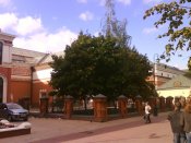 DSC00304.jpg