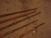 DSC05803.JPG