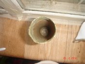 DSC05981.JPG
