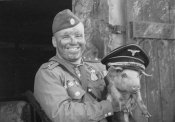 фашист-свинья-война-песочница-690477.jpeg