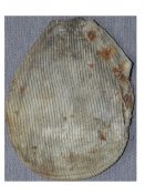 DSCN7987.JPG