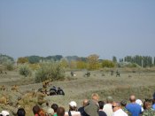 DSC00568.jpg