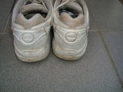 DSC05185.JPG