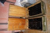 DSC07828.JPG