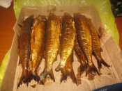 IMG_2321.jpg