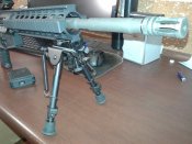 Сошки 2.jpg