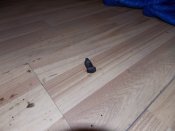 DSCN3355.JPG