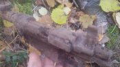 20151018_153438.jpg