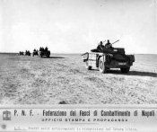 SPA 43 a.jpg
