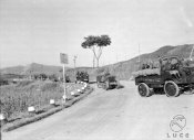 8_Camionette militari e mezzi cingolati avanzano lungo una strada sul terreno.jpg