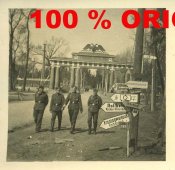 SCHILDERWALD BEI LENINGRAD.jpg
