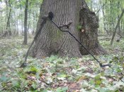 DSCN6777.JPG