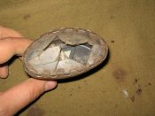 IMG_3196.jpg