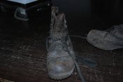 DSC_7329.JPG