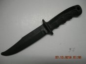 DSCN1036.JPG