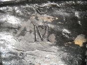 DSCN6924.JPG
