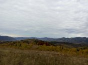 P51029-093055.jpg